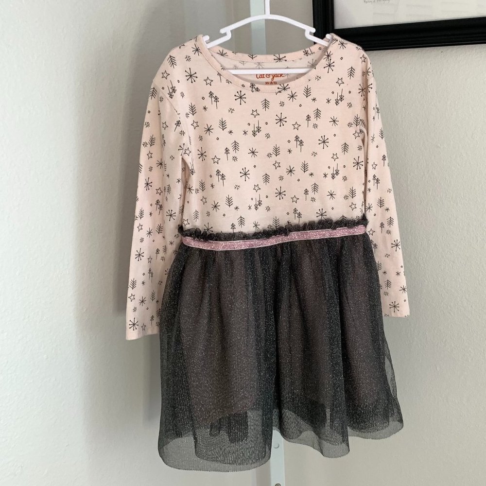 CAT‎ & JACK Girl's Dress, Pastel Pink with Silver Tulle Skirt, Size:  XS (4-5)